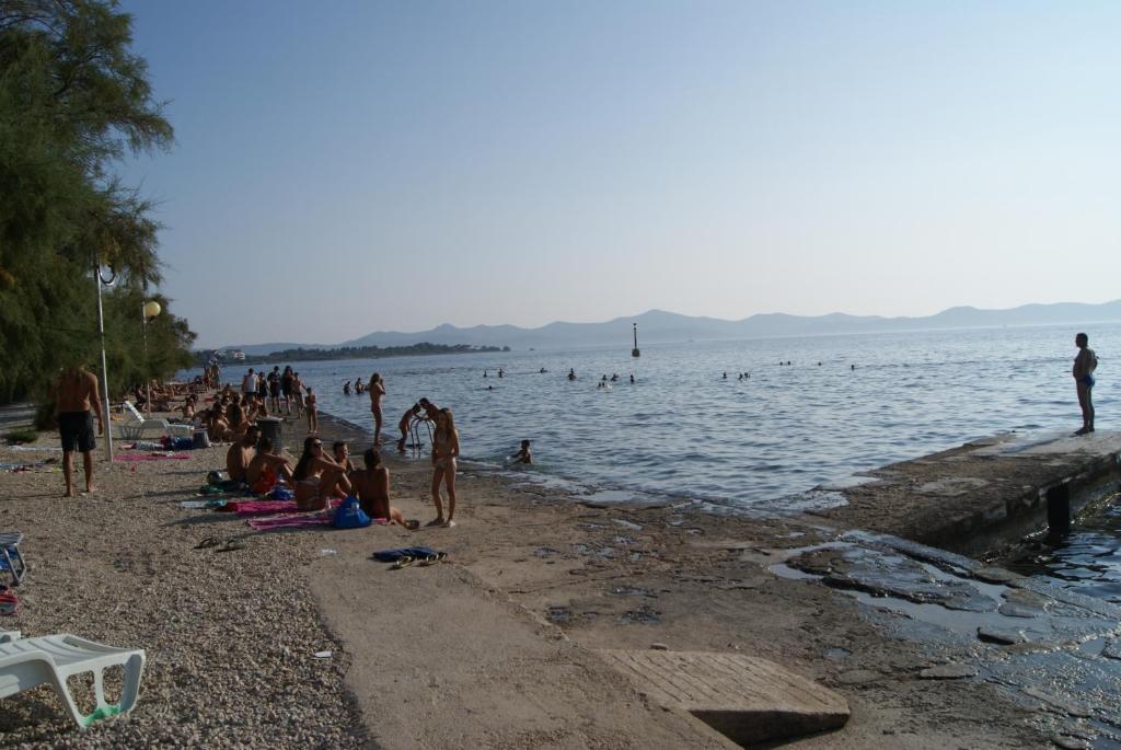 Apartments Marta - Zadar - Near The Sea Exteriör bild